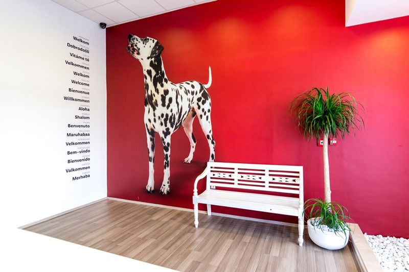 Design Hostel 101 Dalmatinac Split Zewnętrze zdjęcie